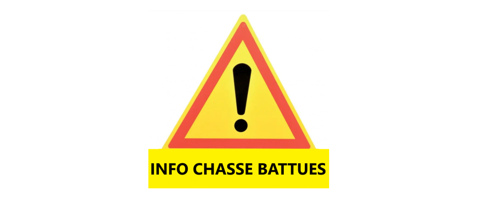Chasse / Battues