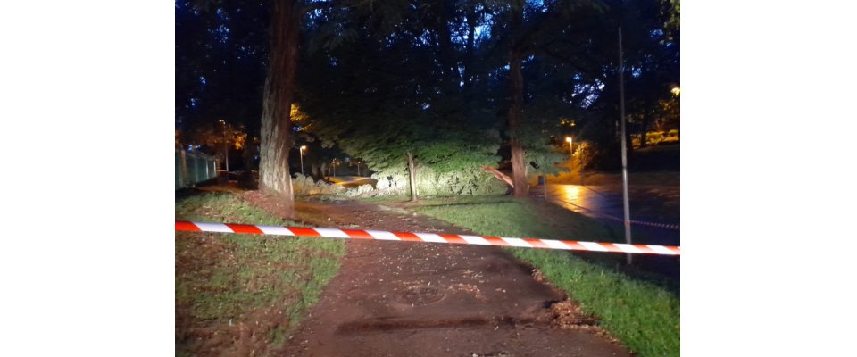 ⚠️ Acces parc et forêts à éviter